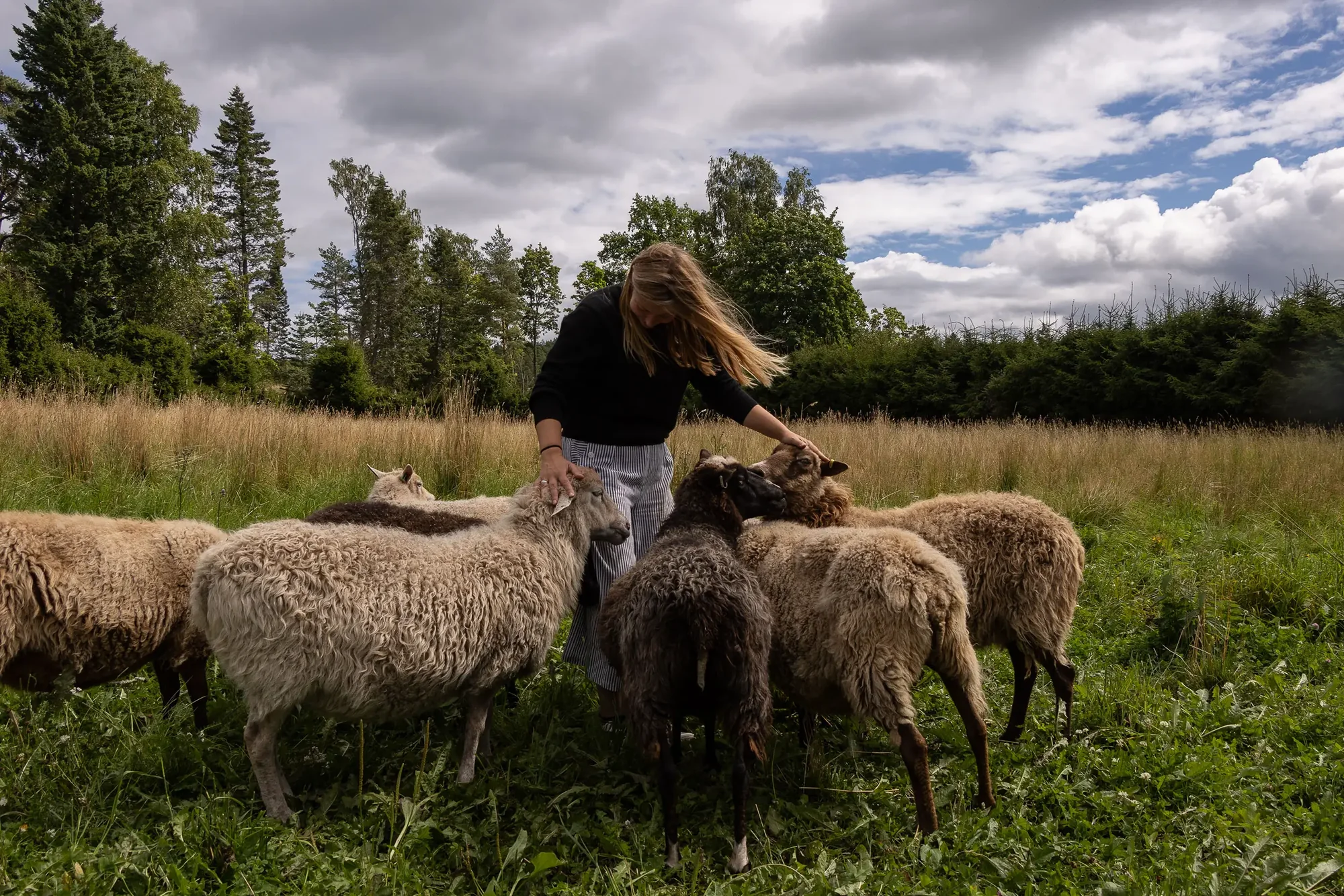 Mirella füttert und streichelt die Schafe auf der Weide unter dramatischem Wolkenhimmel