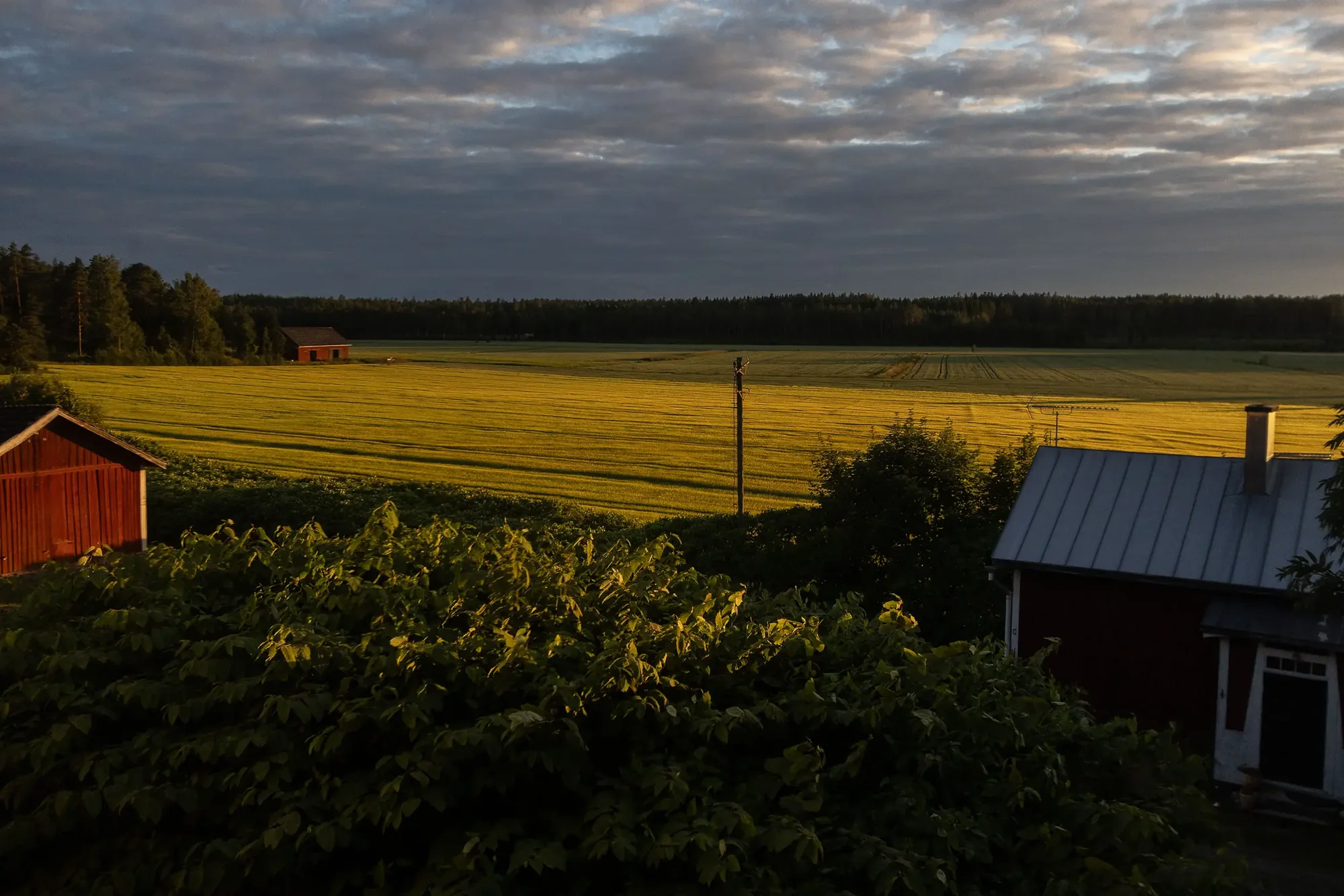 Abendlicht über goldenem Feld mit roter Scheune und weitem Wolkenhimmel in Bromarv